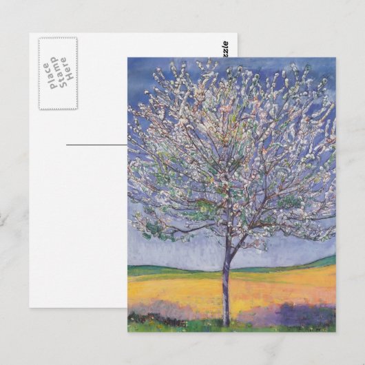 Ferdinand Hodler - Cherry Tree in Bloom Briefkaart (Voorkant / Achterkant)