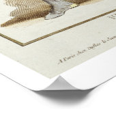 Ferdinand I (1379-1416) King of Aragon from 'Receu Poster (Hoek)