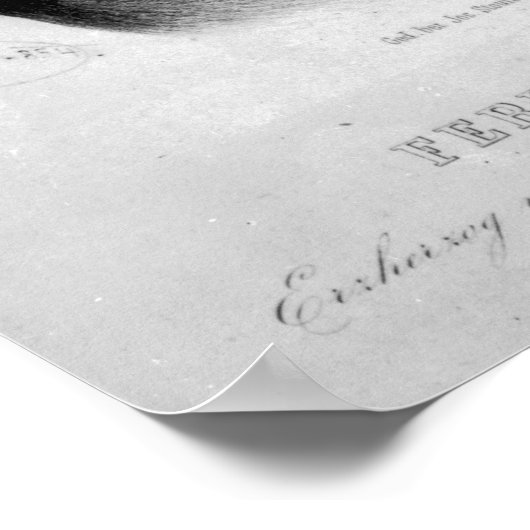 Ferdinand Max Poster (Hoek)