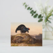 Ferdinand von Wright Blackgrouses CC0822 Briefkaart (Staand voorkant)