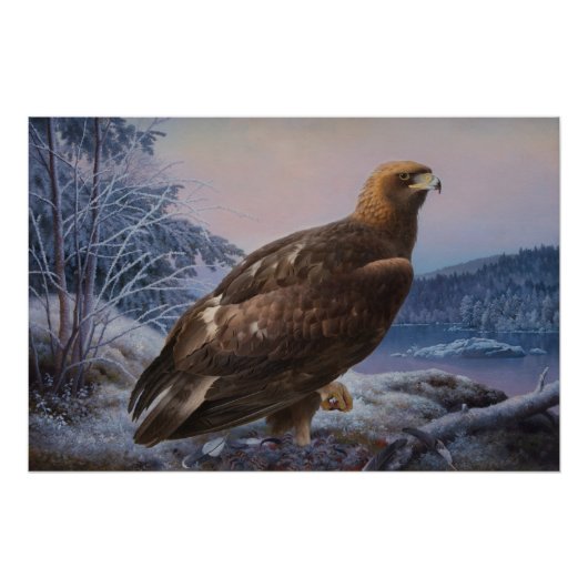 Ferdinand von Wright Golden eagle 1884 CC0313 Perfect Poster (Voorkant)