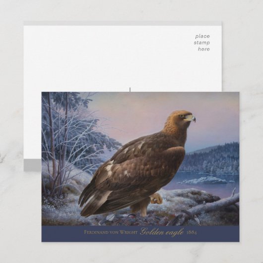 Ferdinand von Wright Golden eagle 1884 CC0314 Briefkaart (Voorkant / Achterkant)