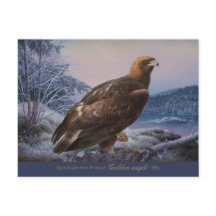 Ferdinand von Wright Golden eagle 1884 CC0314