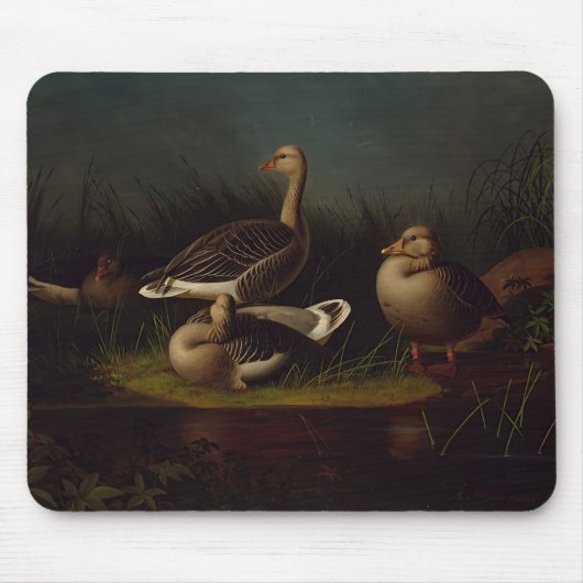 Ferdinand von Wright - Greylag Geese Muismat (Voorkant)