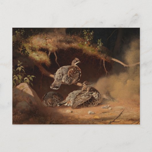 Ferdinand von Wright - Hazel Grouse Wallow Briefkaart (Voorkant)