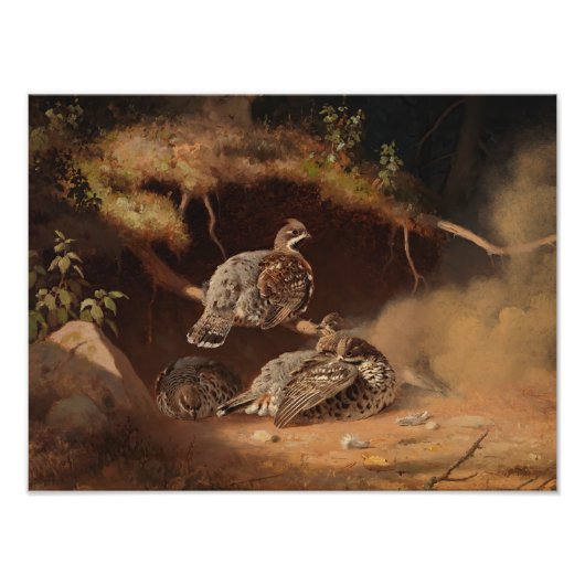 Ferdinand von Wright - Hazel Grouse Wallow Foto Afdruk (Voorkant)