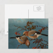 Ferdinand von Wright - Jays Briefkaart (Voorkant / Achterkant)