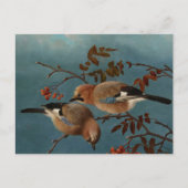 Ferdinand von Wright - Jays Briefkaart (Voorkant)