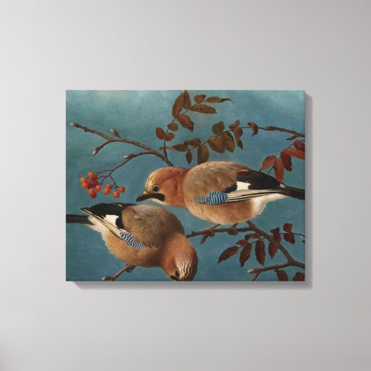 Ferdinand von Wright - Jays Canvas Afdruk (Voorkant)