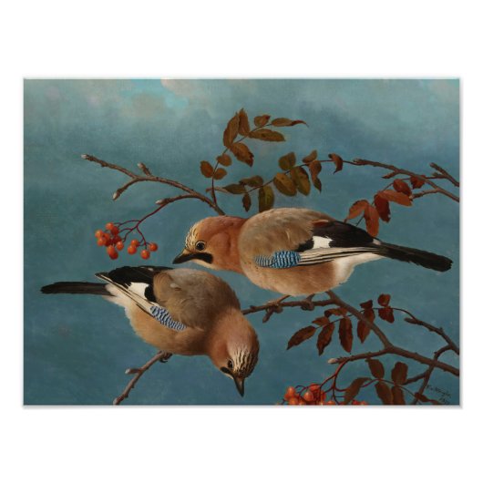 Ferdinand von Wright - Jays Foto Afdruk (Voorkant)
