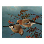 Ferdinand von Wright - Jays Foto Afdruk (Voorkant)