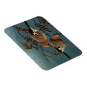 Ferdinand von Wright - Jays Magneet (Rechterzijde)