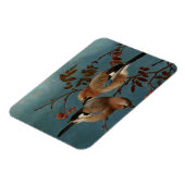 Ferdinand von Wright - Jays Magneet (Linkerzijde)