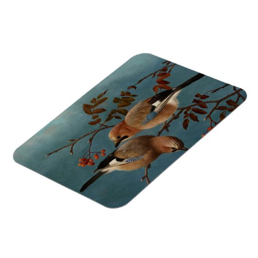 Ferdinand von Wright - Jays Magneet (Linkerzijde)