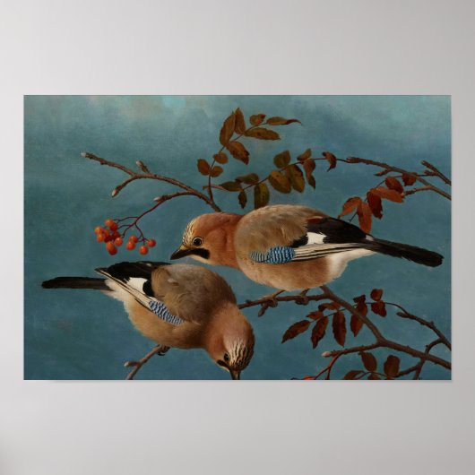 Ferdinand von Wright - Jays Poster (Voorkant)