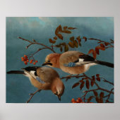 Ferdinand von Wright - Jays Poster (Voorkant)