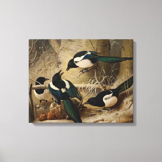 Ferdinand von Wright - Magpies Round a Dead Canvas Afdruk (Voorkant)