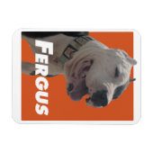 Fergus de Barbers hond Magneet (Horizontaal)
