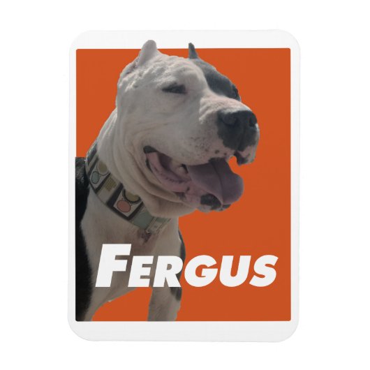 Fergus de Barbers hond Magneet (Verticaal)
