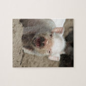 Ferkel Legpuzzel (Horizontaal)