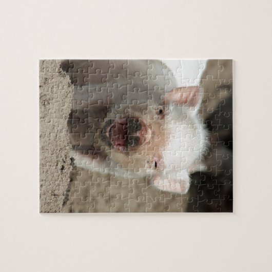 Ferkel Legpuzzel (Horizontaal)