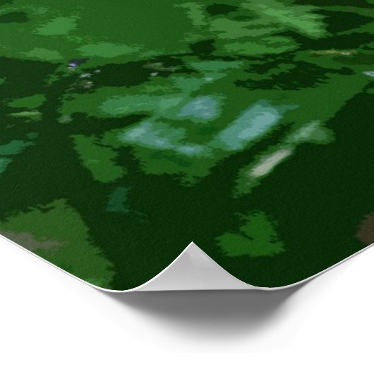 FERN 1 POSTER (Hoek)