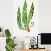 Fern 3 poster (Thuiskantoor)