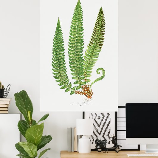 Fern 3 poster (Thuiskantoor)