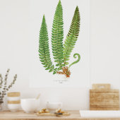 Fern 3 poster (Keuken)
