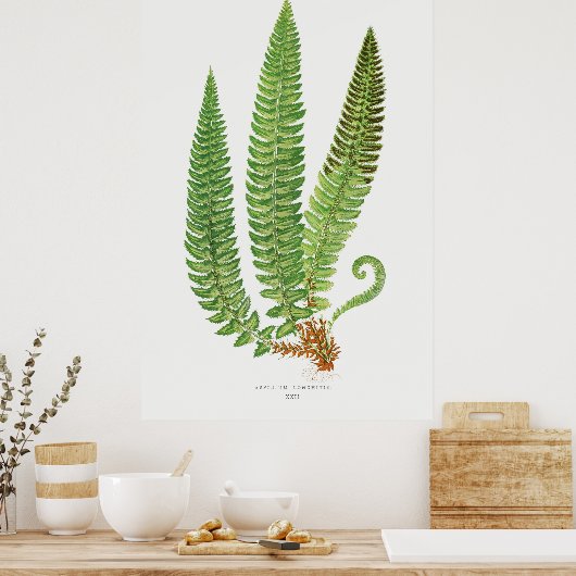 Fern 3 poster (Keuken)