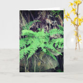 Fern Alle gelegenheden Kaart (Gele Bloem)