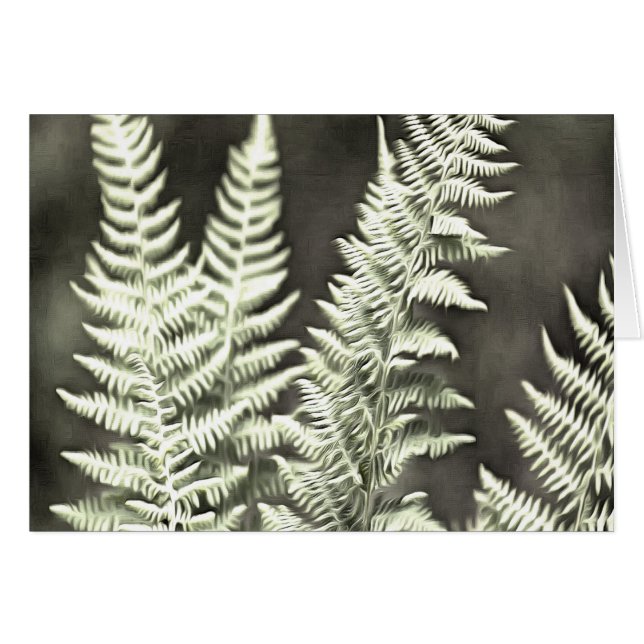 Fern Artistic Abstract (Voorkant Horizontaal)