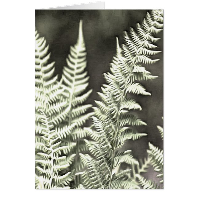 Fern Artistic Abstract (Voorkant)
