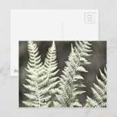 Fern Artistic Abstract Briefkaart (Voorkant / Achterkant)