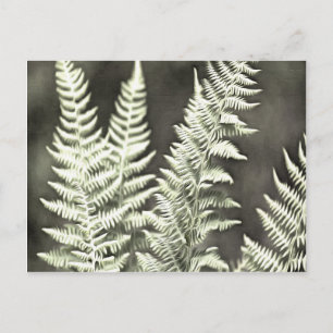 Fern Artistic Abstract Briefkaart