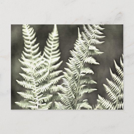 Fern Artistic Abstract Briefkaart (Voorkant)