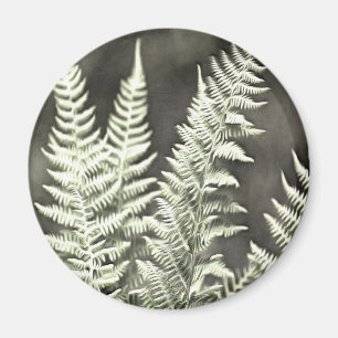 Fern Artistic Abstract Magneet