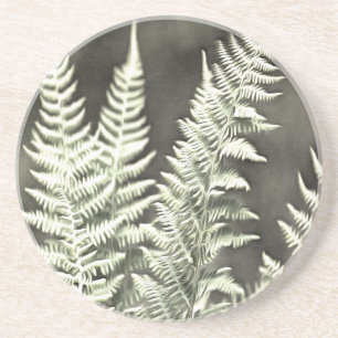 Fern Artistic Abstract Zandsteen Onderzetter