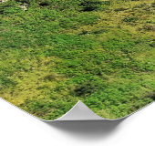 Fern Bern Hut Poster (Hoek)