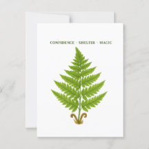 Fern Betekenis