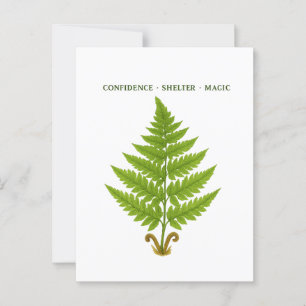Fern Betekenis Briefkaart