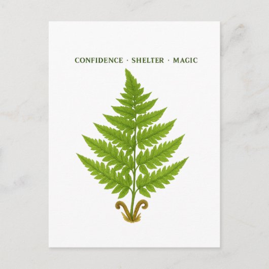 Fern Betekenis Briefkaart (Voorkant)