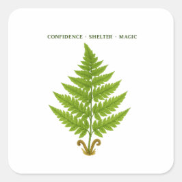 Fern Betekenis Vierkante Sticker