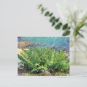 Fern bij het zee briefkaart (Staand voorkant)