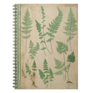  Fern Botanical Notitieboek Natuur Journal