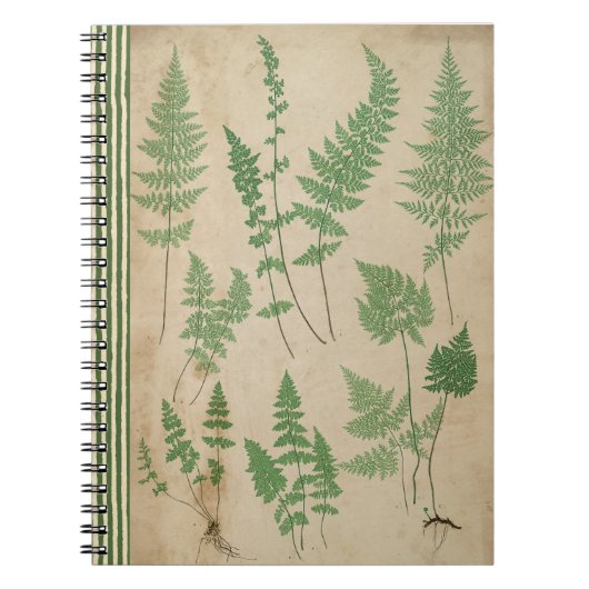  Fern Botanical Notitieboek Natuur Journal (Voorkant)