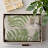 Fern botanisch weefselpapier tissuepapier (Geschenk)