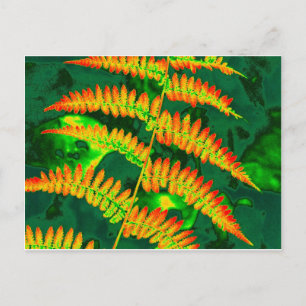 Fern Briefkaart