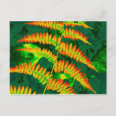 Fern Briefkaart (Voorkant)