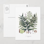 Fern Briefkaart (Voorkant / Achterkant)